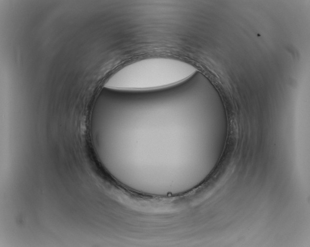 X0000111360032200907101006