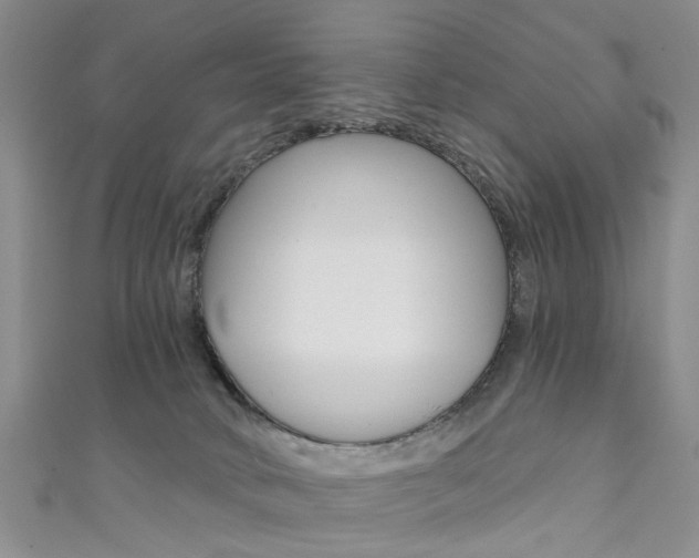 X0000111360034200907101006