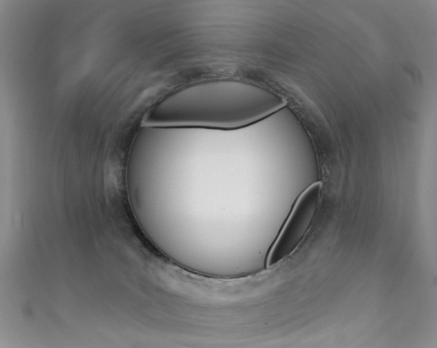 X0000111360035200907101006