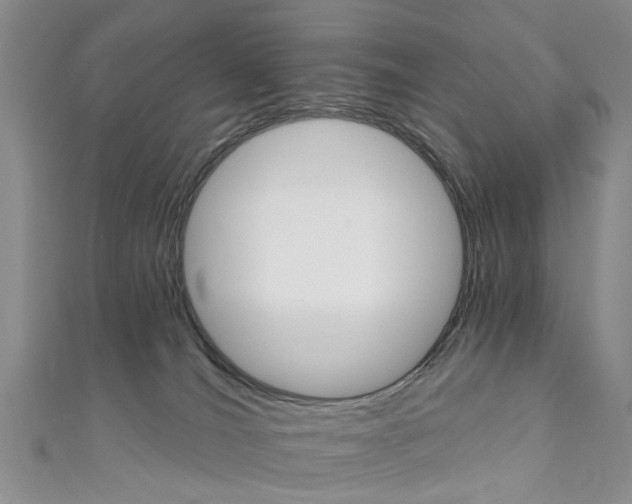 X0000111360036200907101006