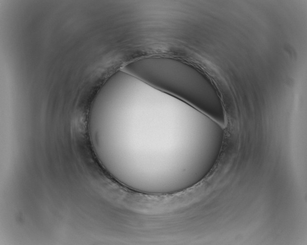 X0000111360037200907101006