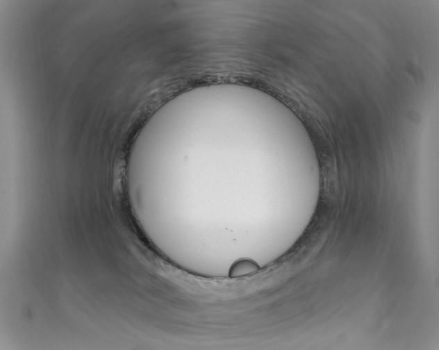 X0000111360038200907101006