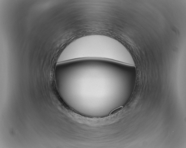 X0000111360039200907101006