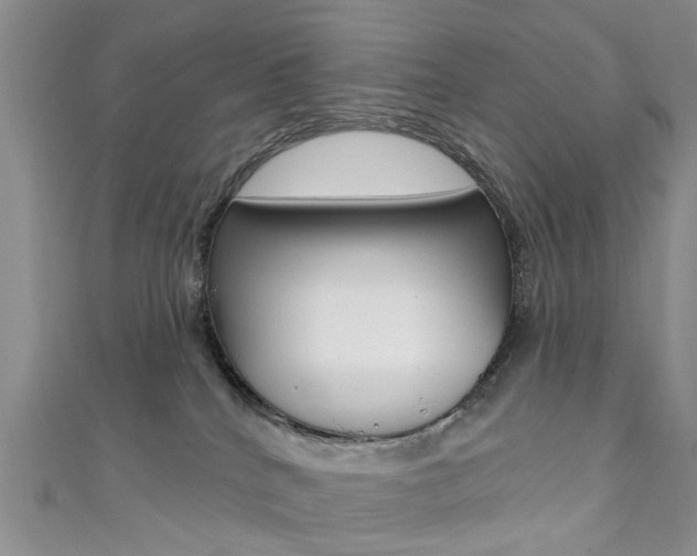 X0000111360040200907101006