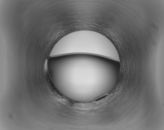X0000111360041200907101006