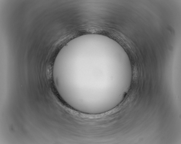X0000111360043200907101006