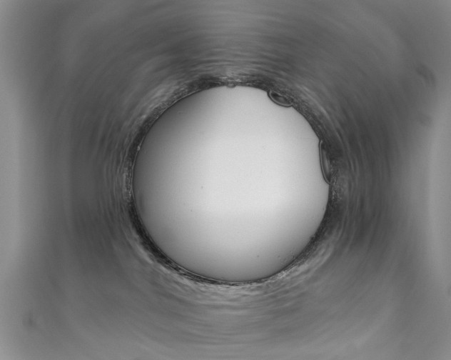 X0000111360044200907101006