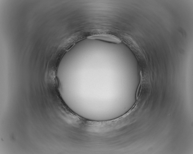 X0000111360045200907101006