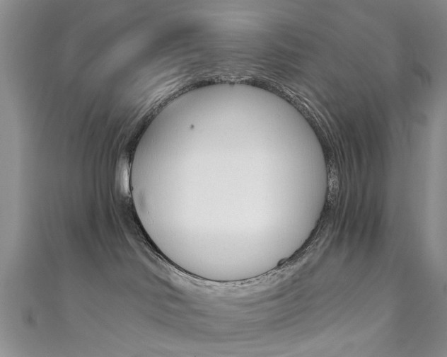 X0000111360046200907101006
