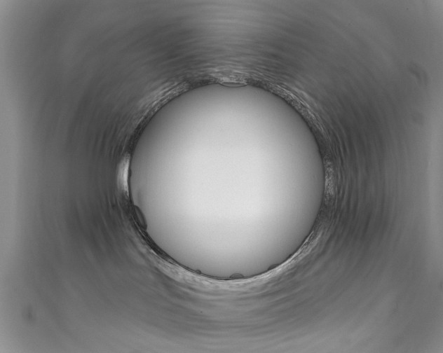 X0000111360047200907101006