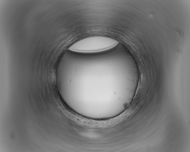 X0000111360048200907101006