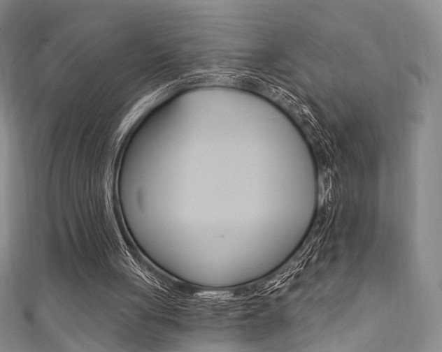 X0000111360051200907101005