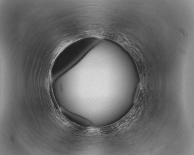 X0000111360052200907101005