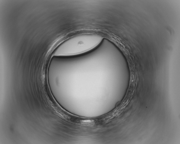 X0000111360053200907101005
