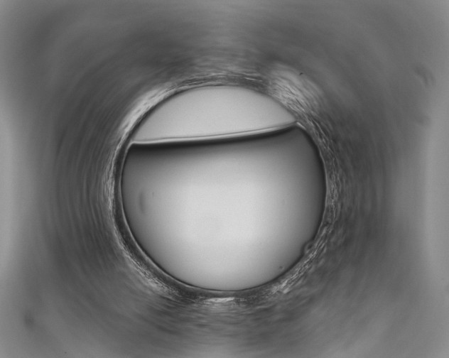 X0000111360054200907101005