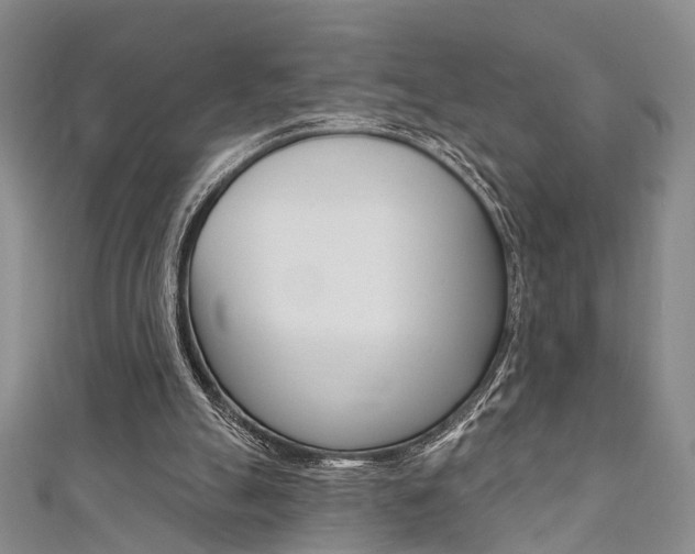 X0000111360055200907101005
