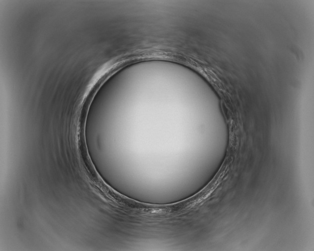 X0000111360056200907101005