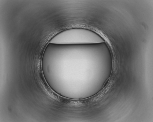 X0000111360057200907101005