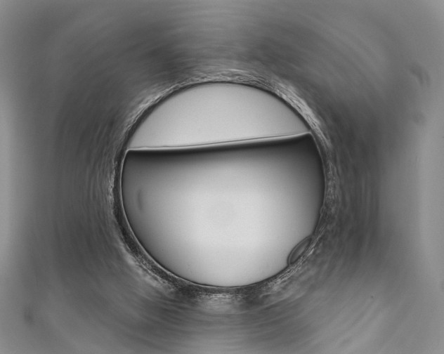 X0000111360058200907101005