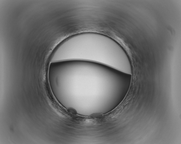 X0000111360060200907101005