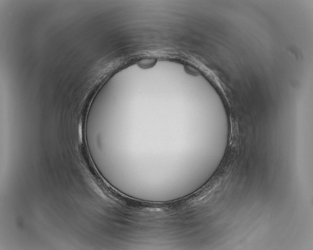 X0000111360061200907101005