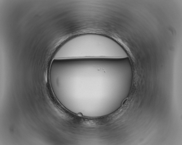 X0000111360062200907101005