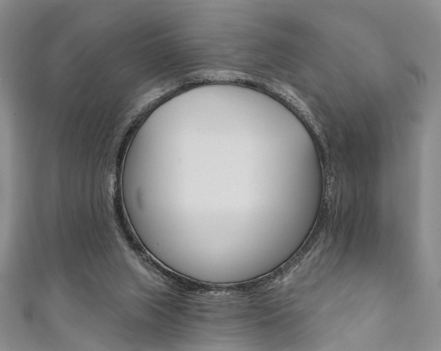 X0000111360063200907101005