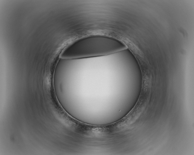 X0000111360064200907101005