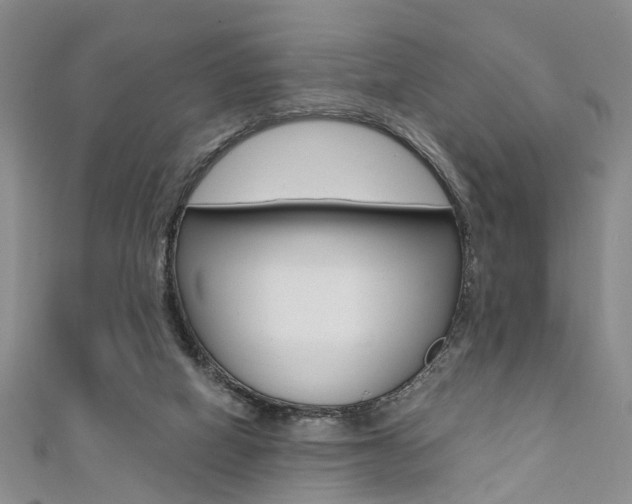 X0000111360066200907101005