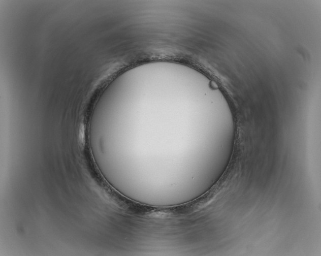 X0000111360067200907101005