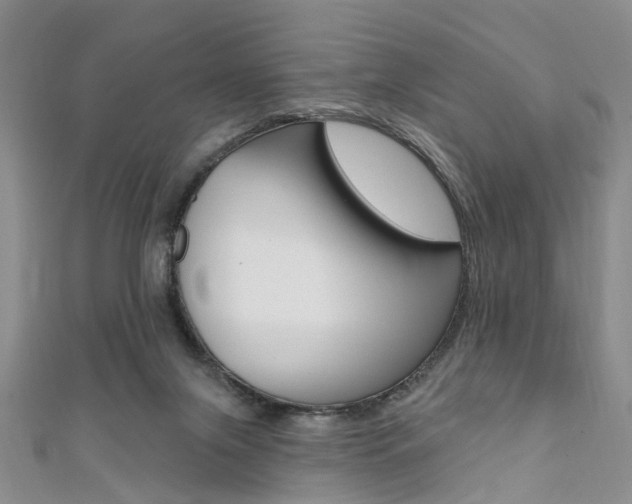 X0000111360071200907101005