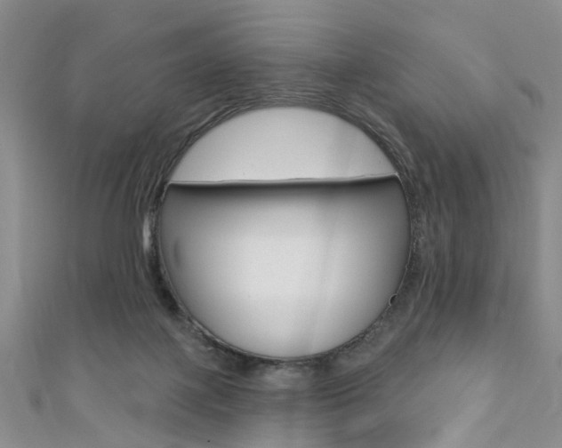 X0000111360075200907101005