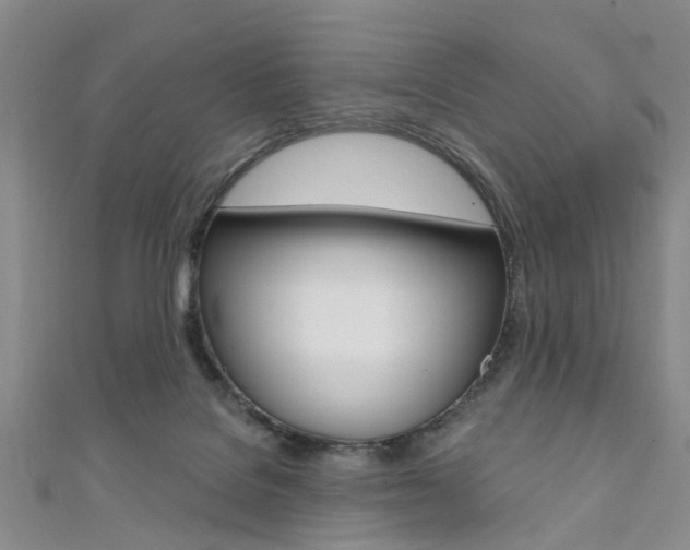 X0000111360076200907101005