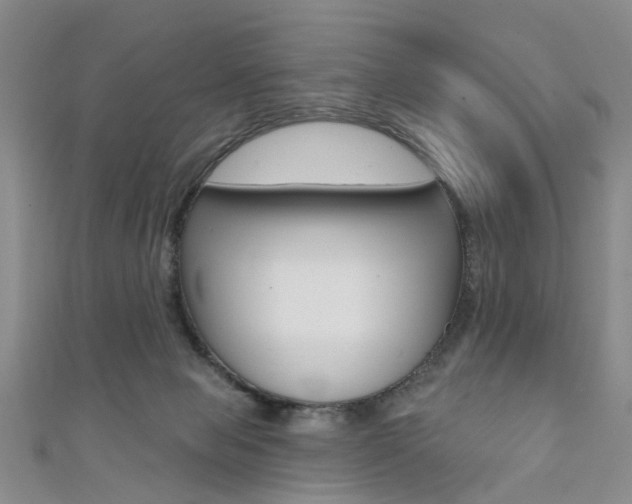 X0000111360077200907101005