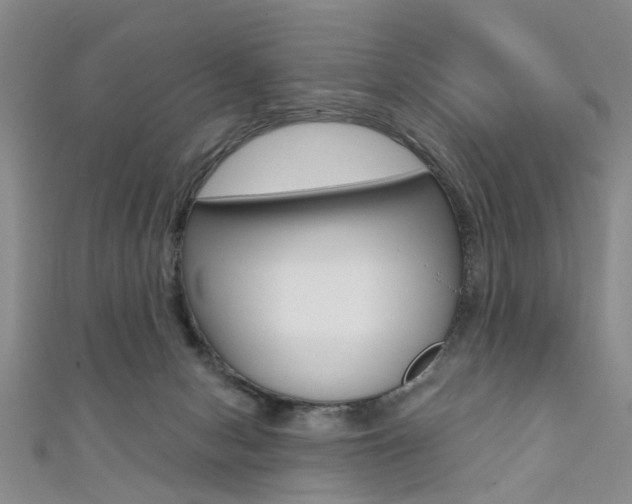 X0000111360078200907101005