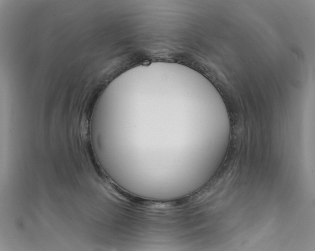 X0000111360081200907101005