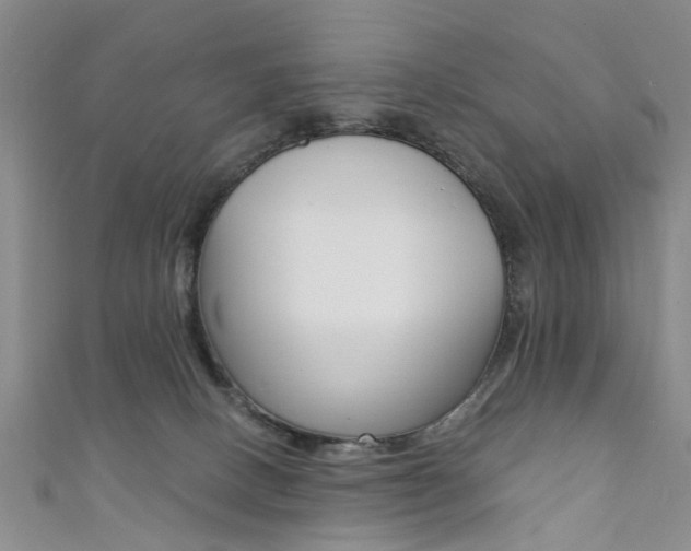 X0000111360082200907101005