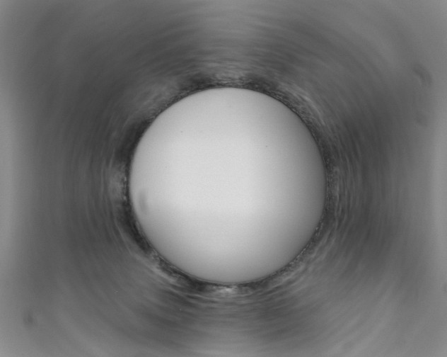 X0000111360083200907101005