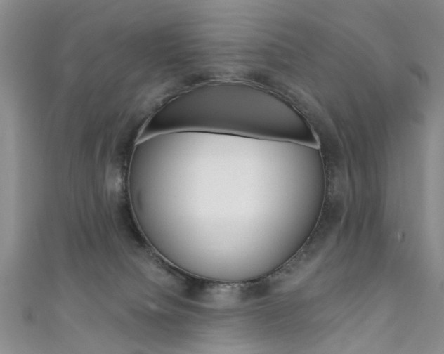 X0000111360084200907101005
