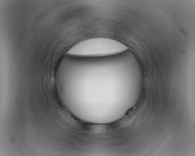 X0000111360085200907101005