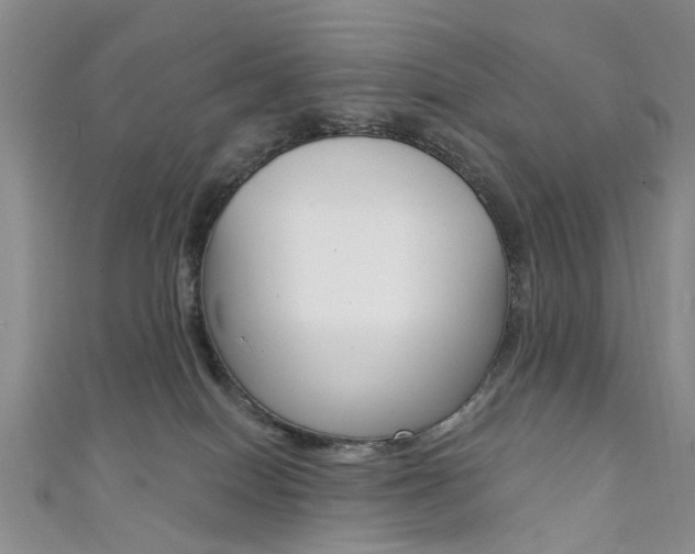 X0000111360086200907101005