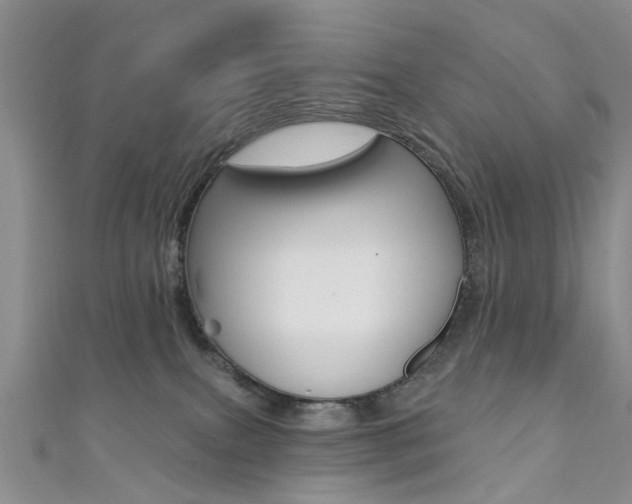 X0000111360087200907101005
