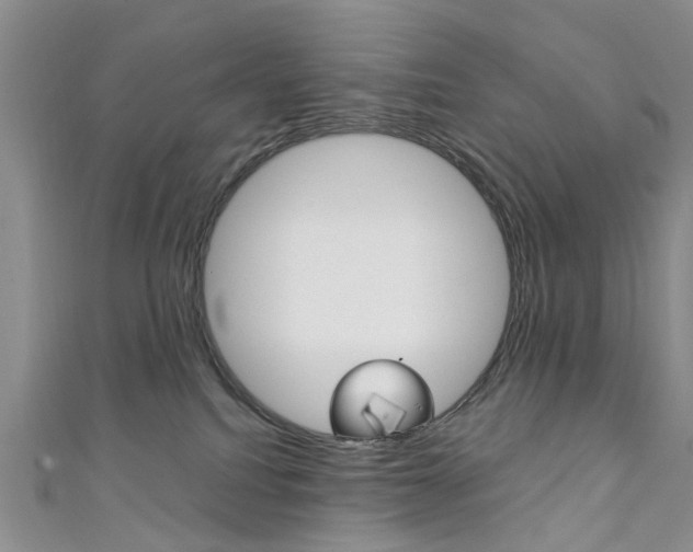 X0000111360088200907101005
