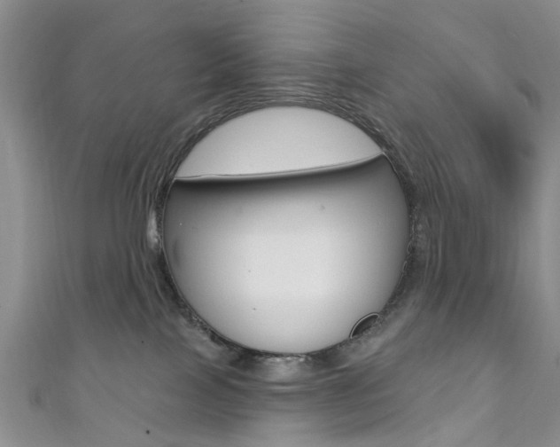 X0000111360089200907101005