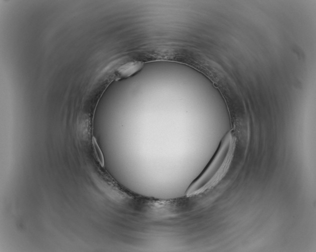 X0000111360092200907101005