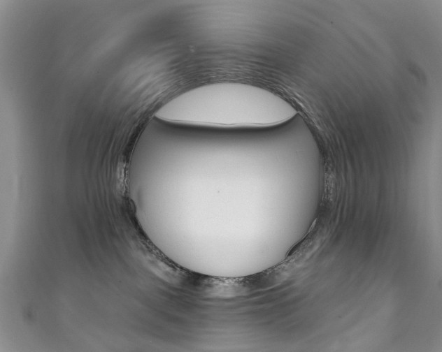 X0000111360093200907101005