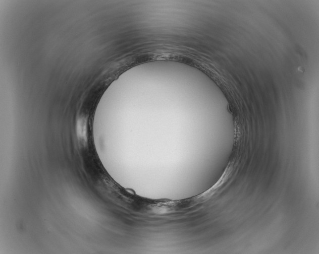 X0000111360094200907101006