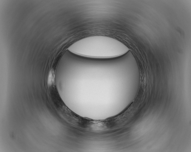 X0000111360095200907101006