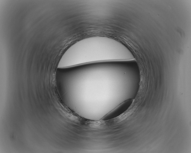 X0000111360096200907101006
