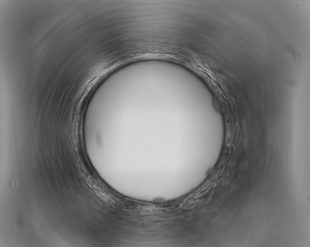 X0000111360098200907101005